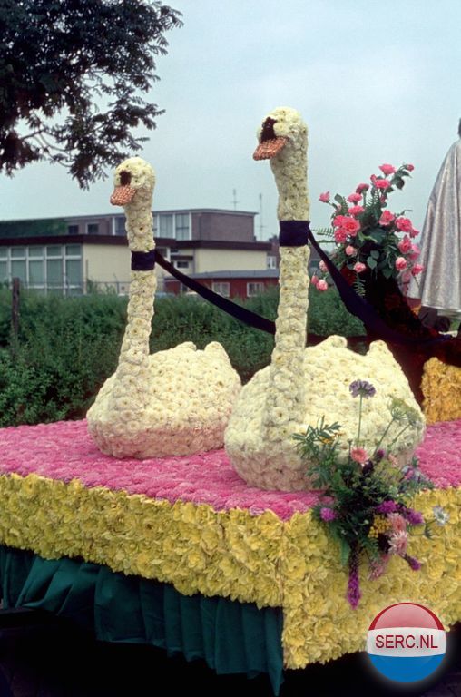 Bloemencorso — Aalst