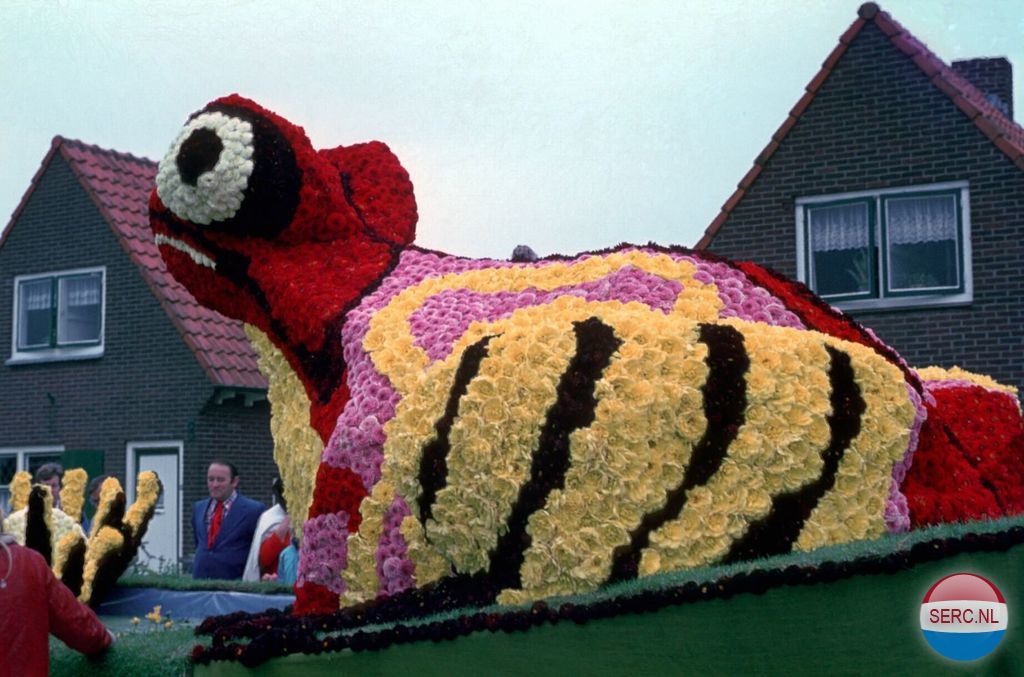 Bloemencorso — Aalst