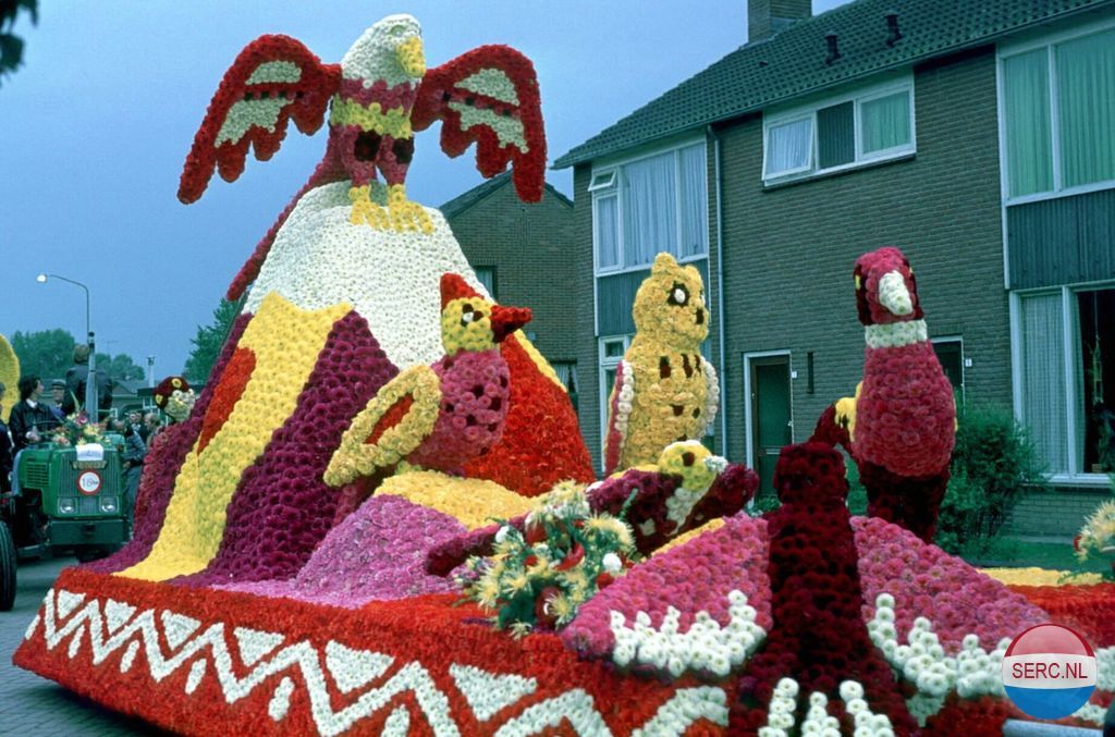 Bloemencorso — Aalst