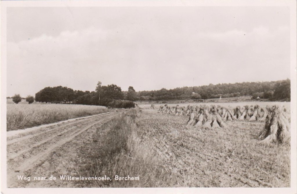 Overige foto's — Barchem