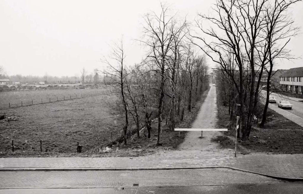 Albert Schweitzerlaan — Barneveld