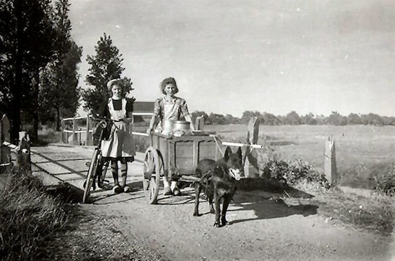 Bijsterhuizen — Beuningen