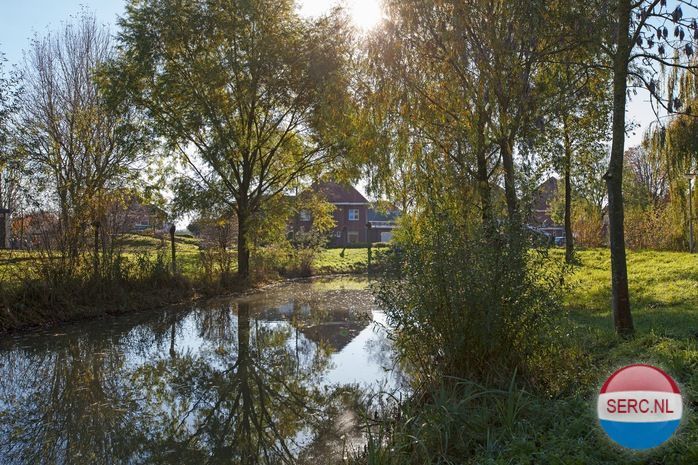 Berkenpark — Beuningen