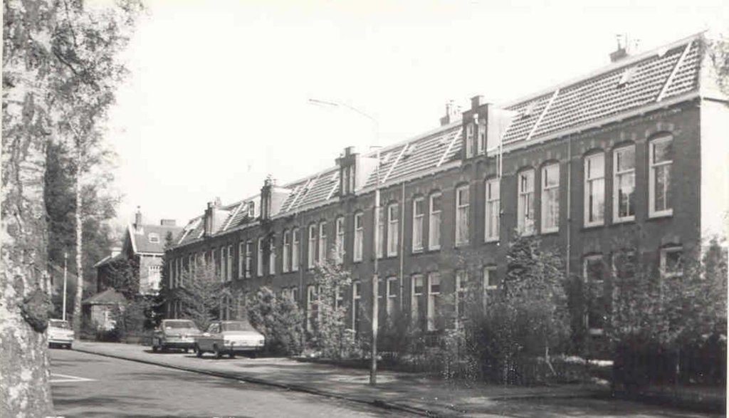 Berkenlaan — Ede