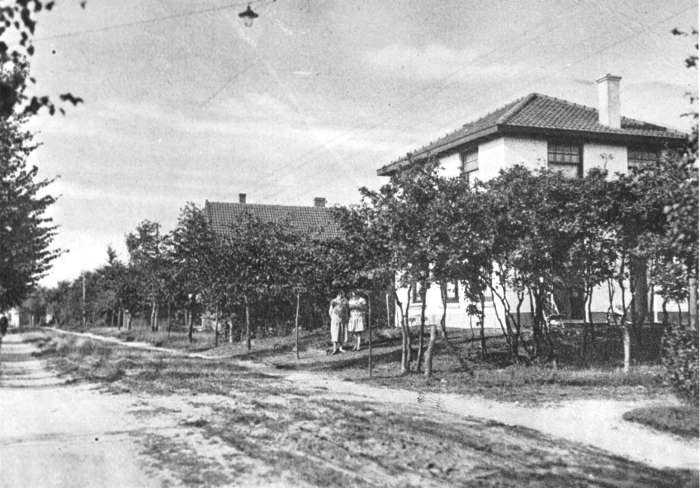Burg. Vitringalaan — Ermelo