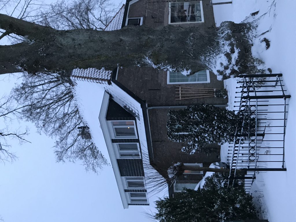 Rietdekkerweg — Gorssel