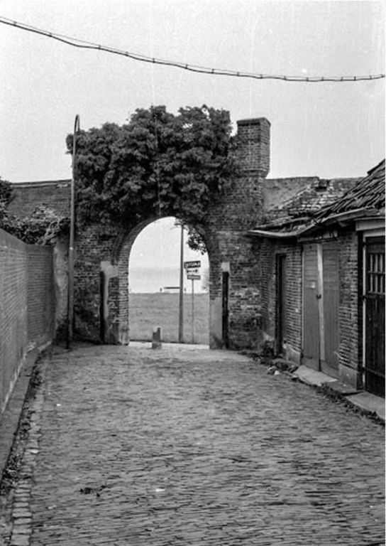Blauwverversteeg — Harderwijk