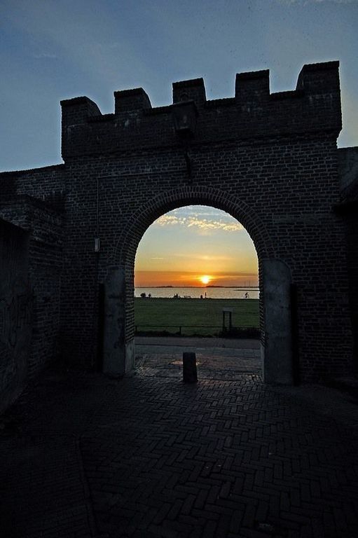 Blauwverversteeg — Harderwijk
