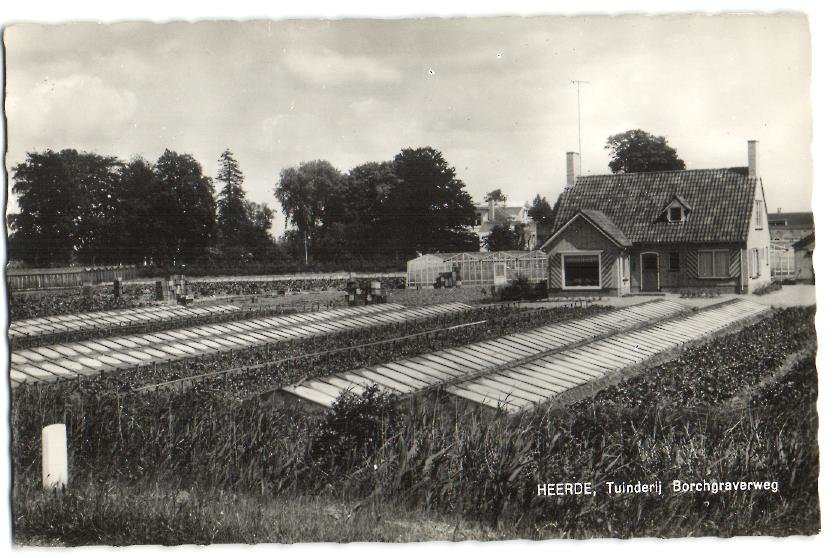 Borchgraverweg — Heerde