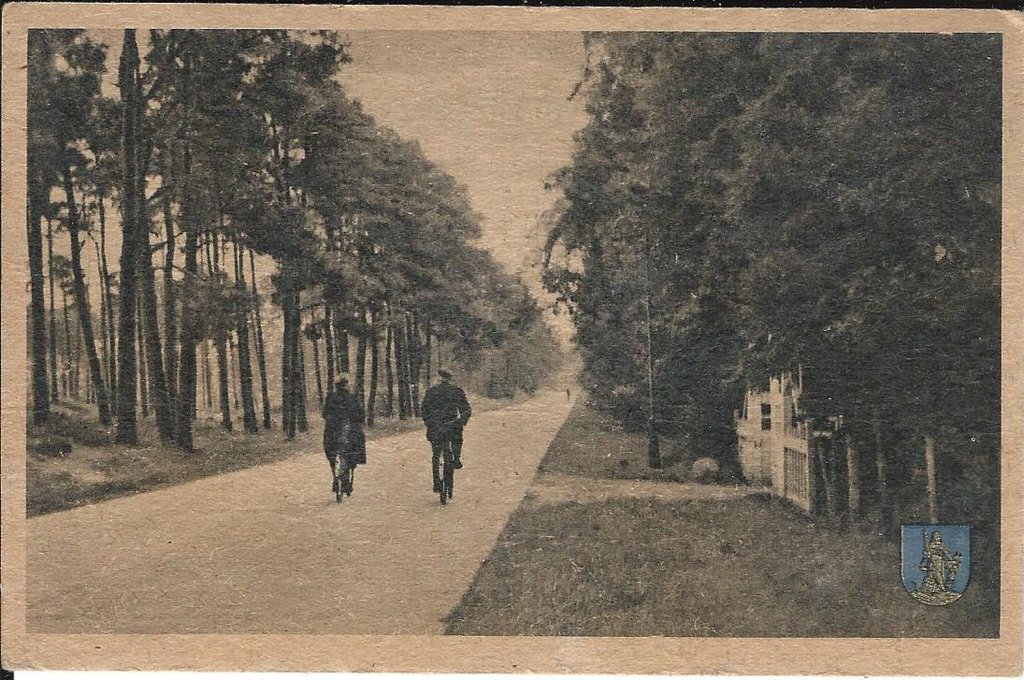 Elspeeterweg — Nunspeet