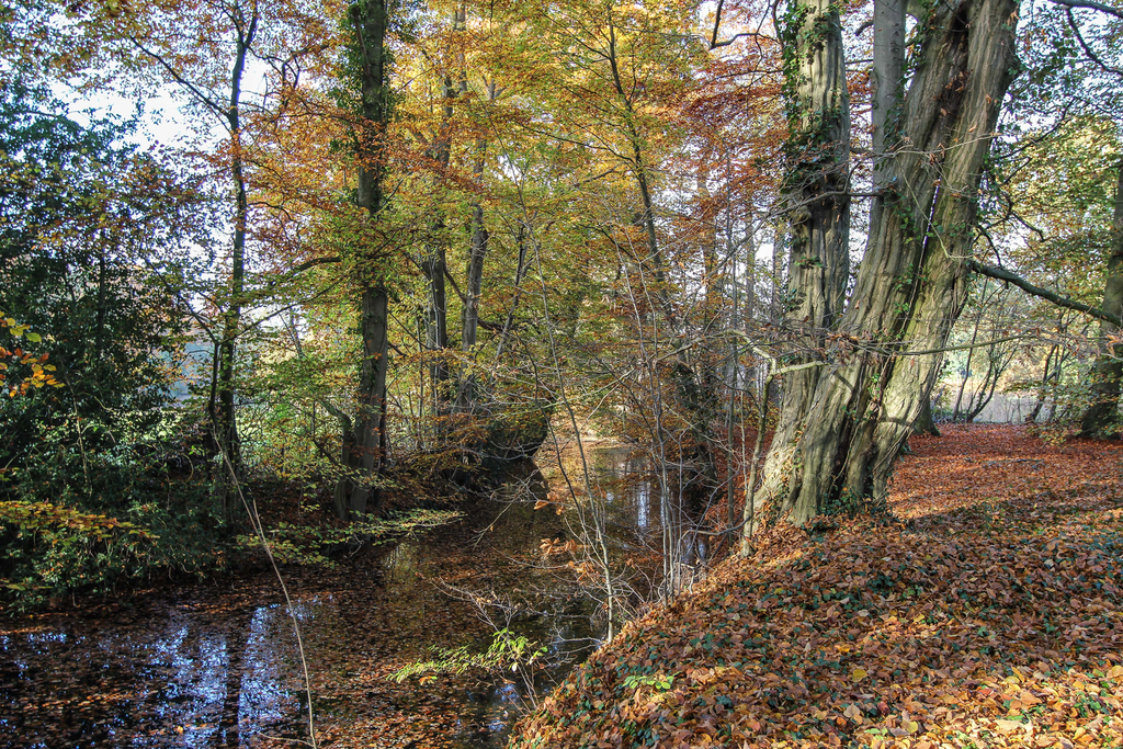 Vordenseweg — Ruurlo
