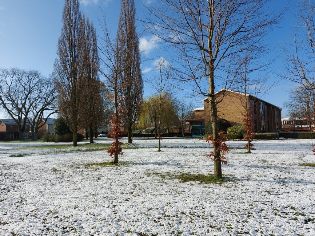 Scholen — Varsseveld