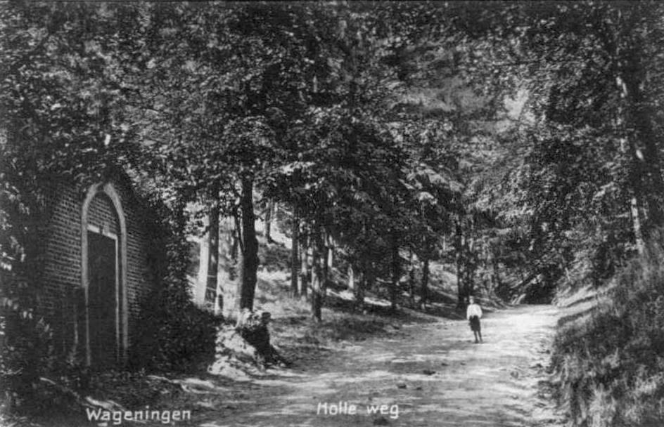 Holleweg — Wageningen