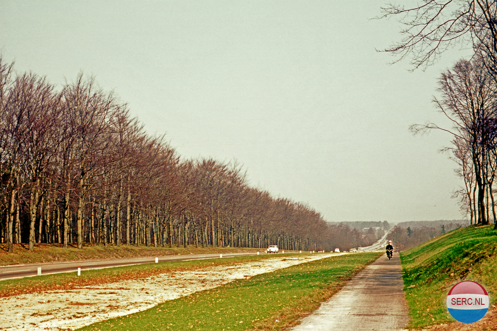 Bosweg — Zaltbommel