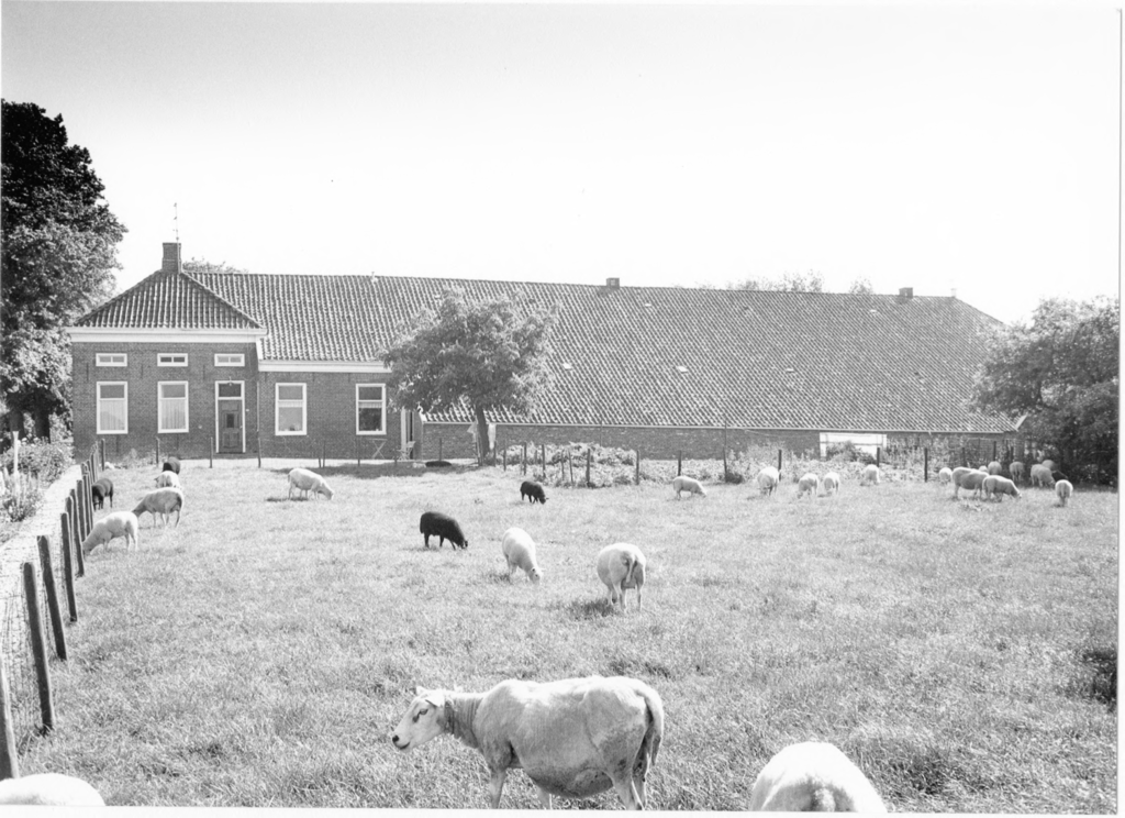 Borgsweer — Borgsweer