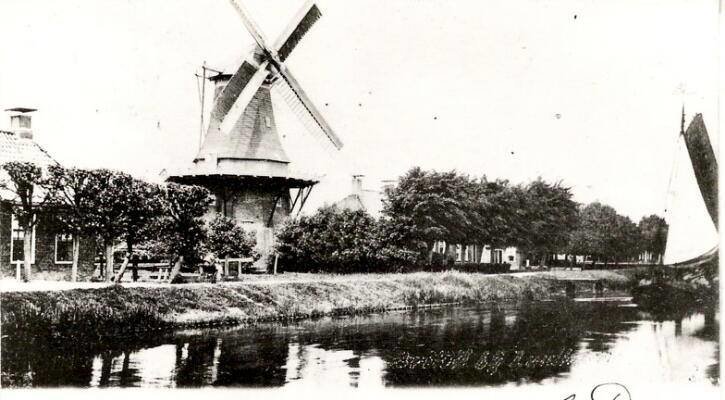 Hoendiep — Briltil
