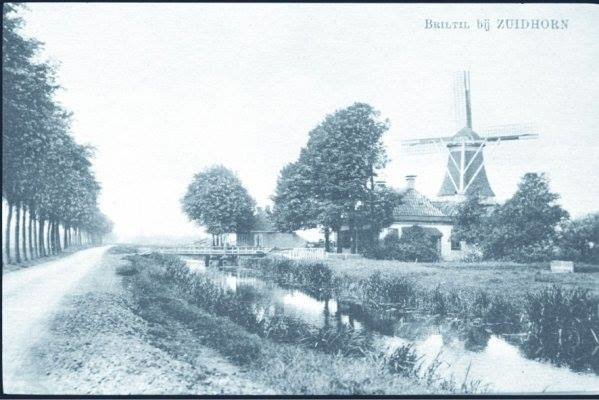 Panorama — Briltil