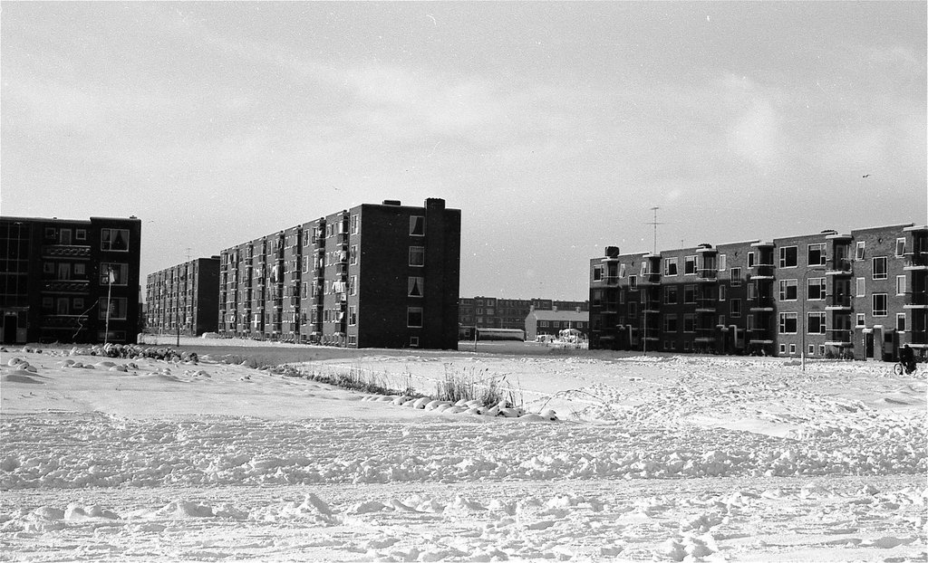 Betelgeuzestraat — Delfzijl