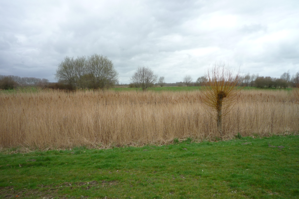 Duivenslag — Delfzijl