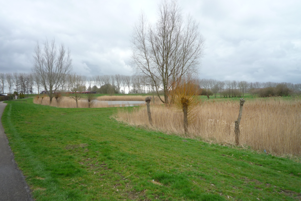 Duivenslag — Delfzijl