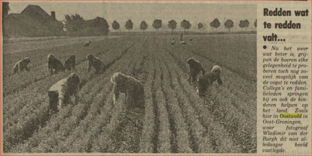 Krantenknipsels — Oostwold