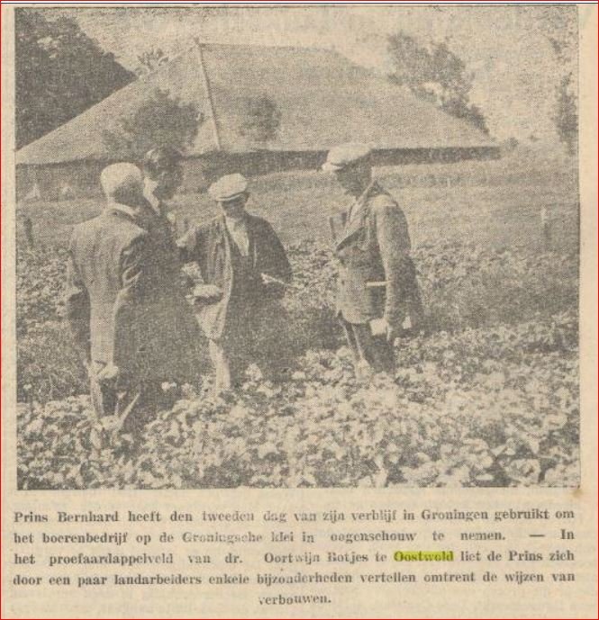 Krantenknipsels — Oostwold