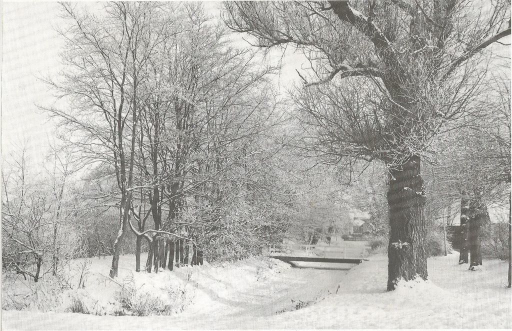 Achterlaan — Scheemda