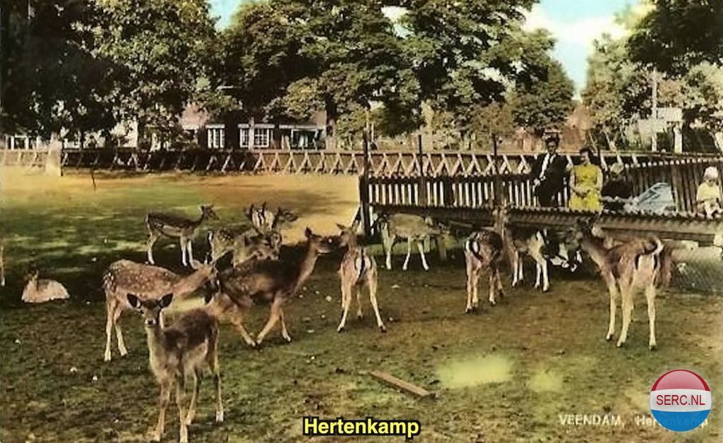 Hertenkamp — Veendam