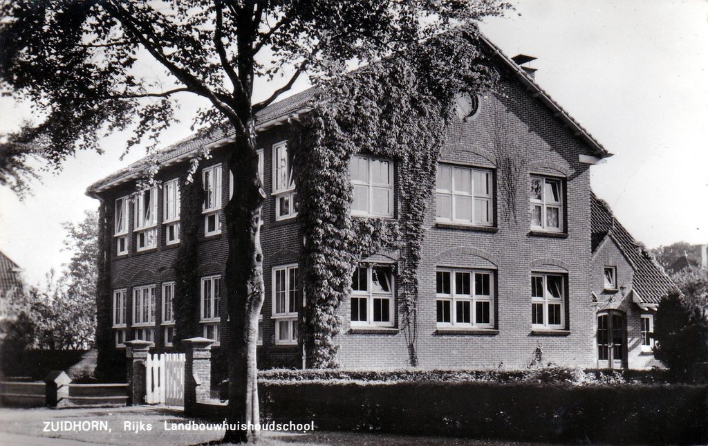 Scholen — Zuidhorn