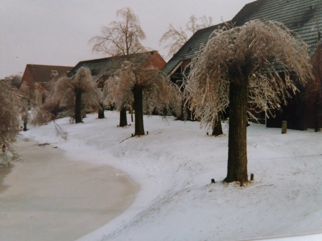 Koperwiek — Zuidhorn