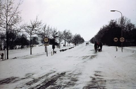 Friesestraatweg — Zuidhorn