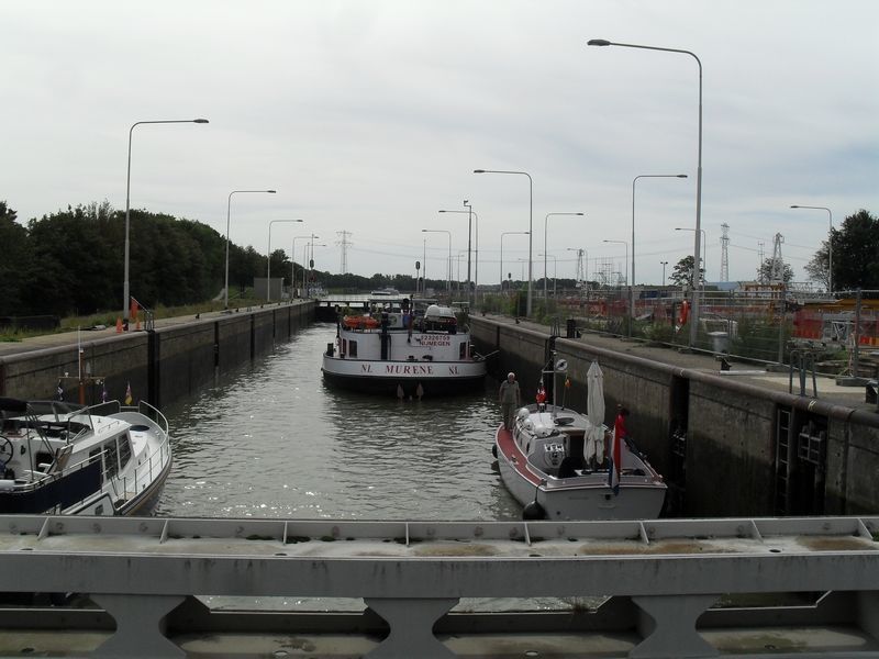 Sluis — Born