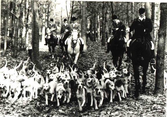 Brunssumer Heide — Brunssum
