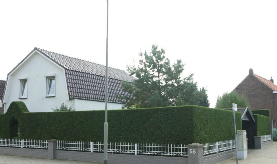 Dorpstraat — Echt