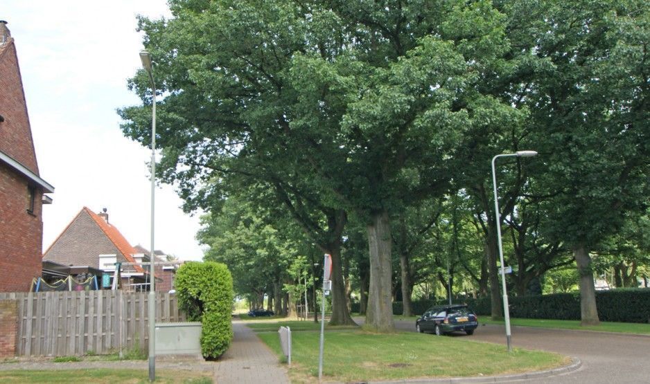 Esdoornstraat — Geleen