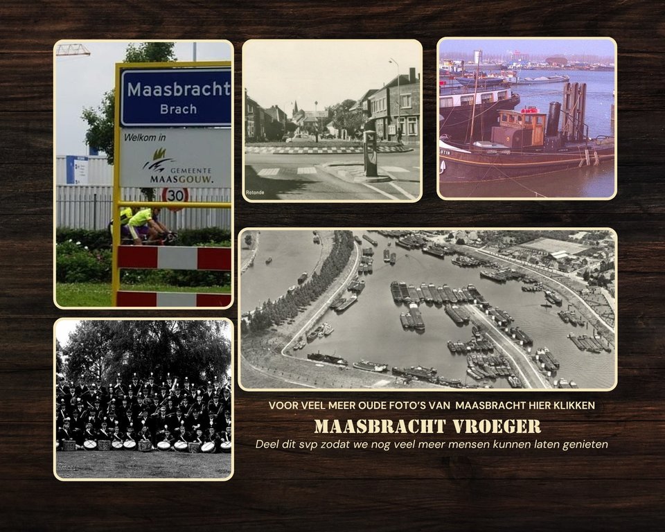 Overzicht — Maasbracht