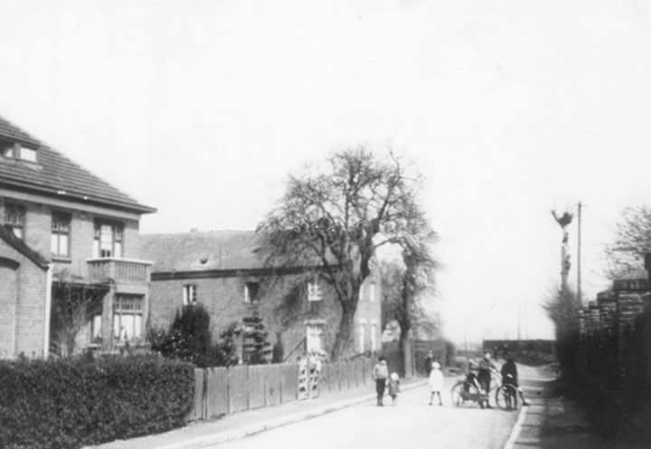 Baandert — Sittard
