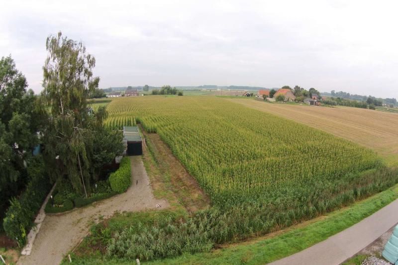 Bloemweg — Almkerk