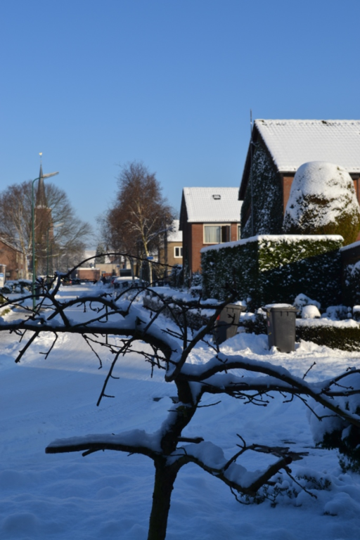 Hofstade — Alphen