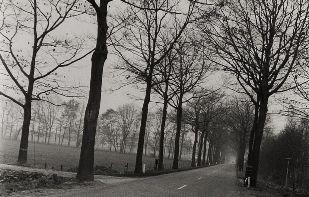 Bredaseweg — Baarle-Nassau