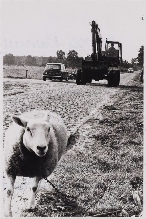 Meerleseweg — Baarle-Nassau