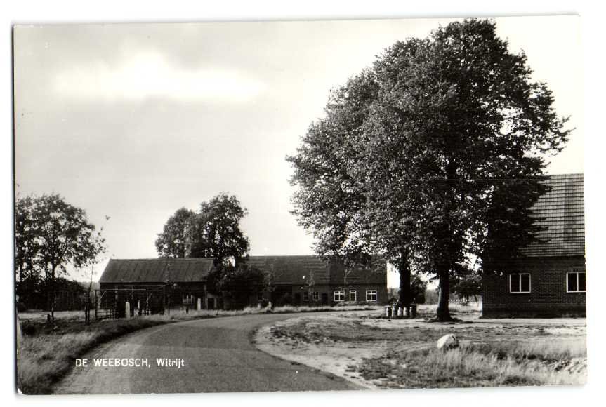 Witrijt — Bergeijk