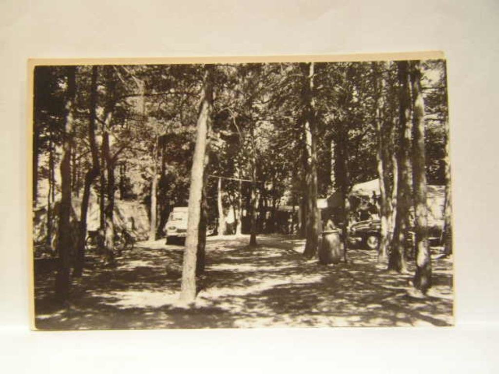 Pepereind — Cromvoirt
