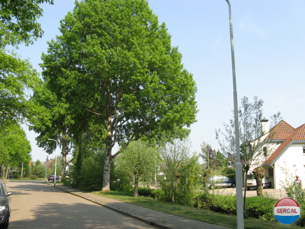 Achtse Loop — Eindhoven