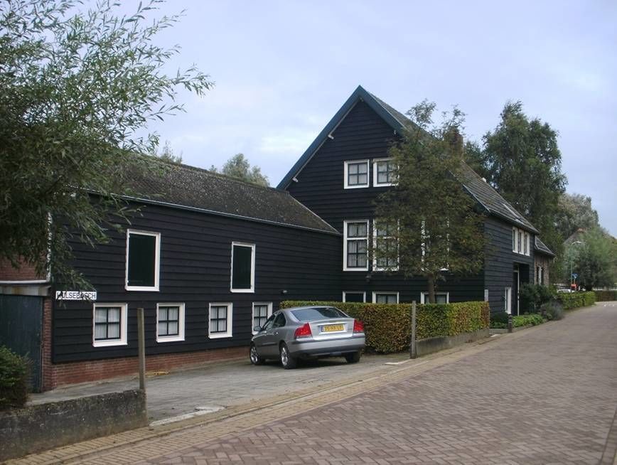 Buitendijk — Hank