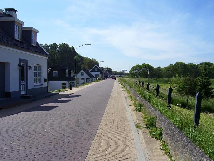 Buitendijk — Hank