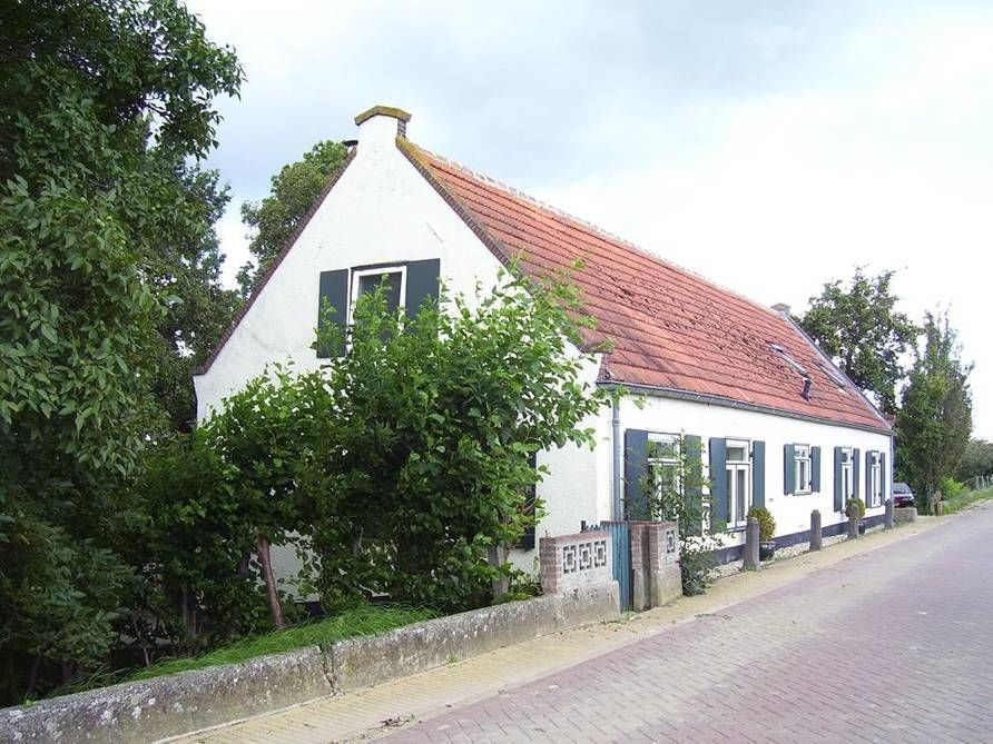 Buitendijk — Hank
