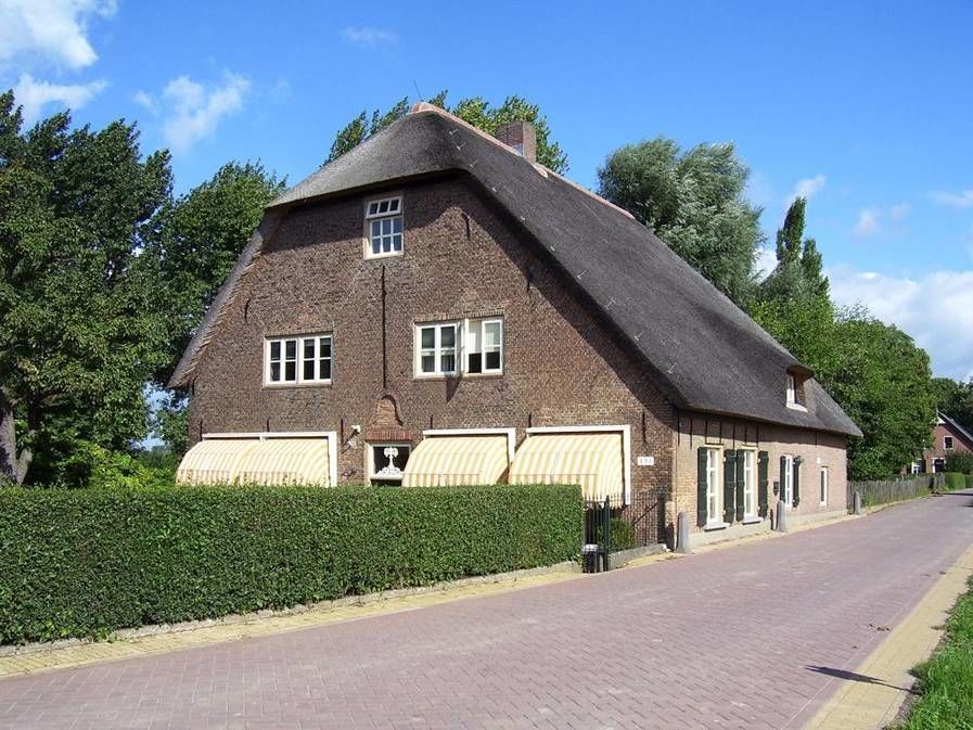 Buitendijk — Hank