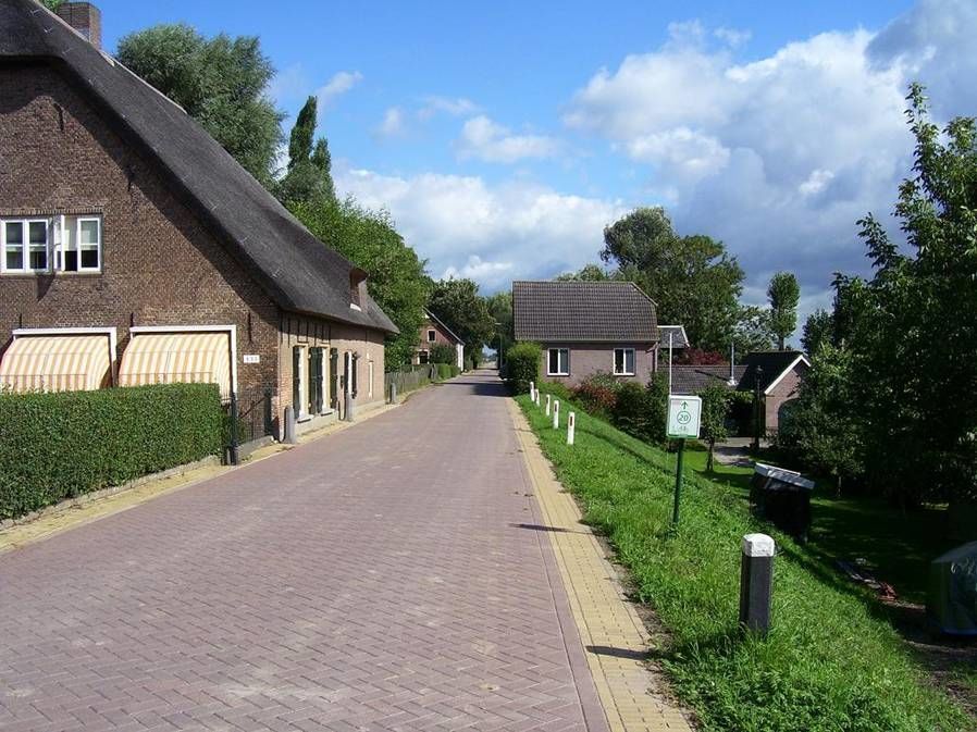 Buitendijk — Hank