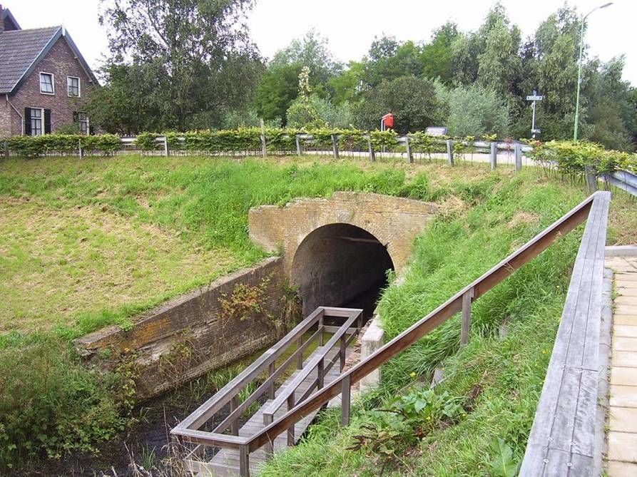 Buitendijk — Hank